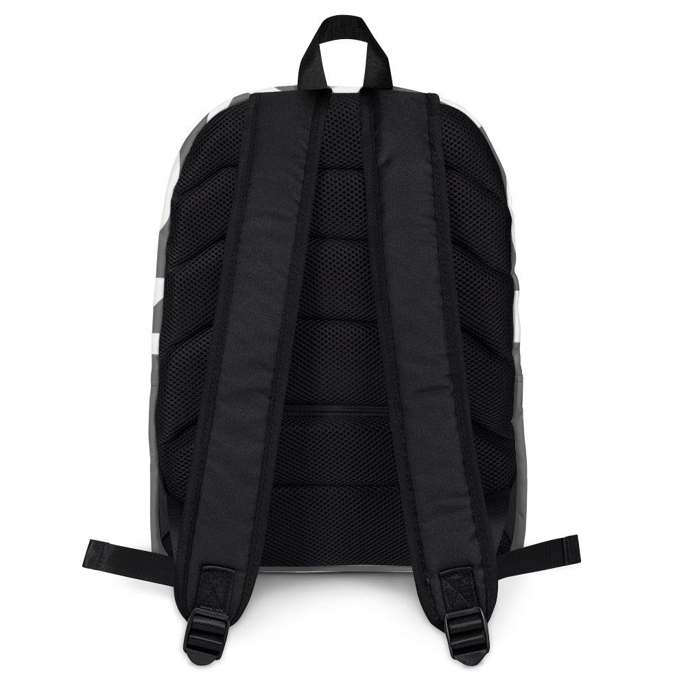 TORAYON Gray Backpack