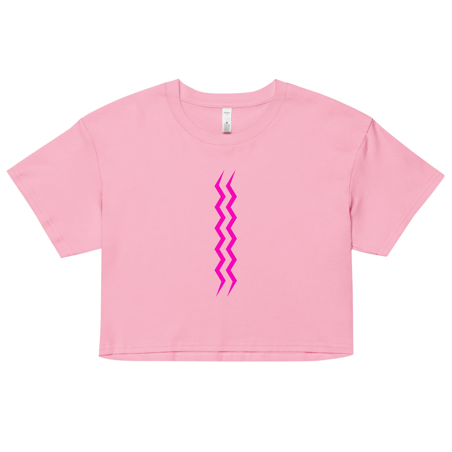 ANOYNTD Vertical Series (Pi) Women’s Crop Top