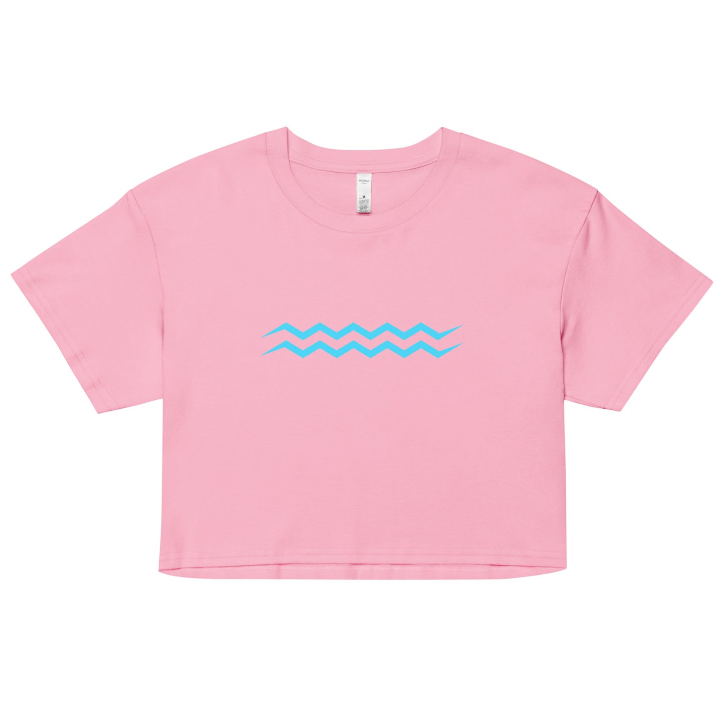 ANOYNTD Horizontal Series (BB) Women’s Crop Top