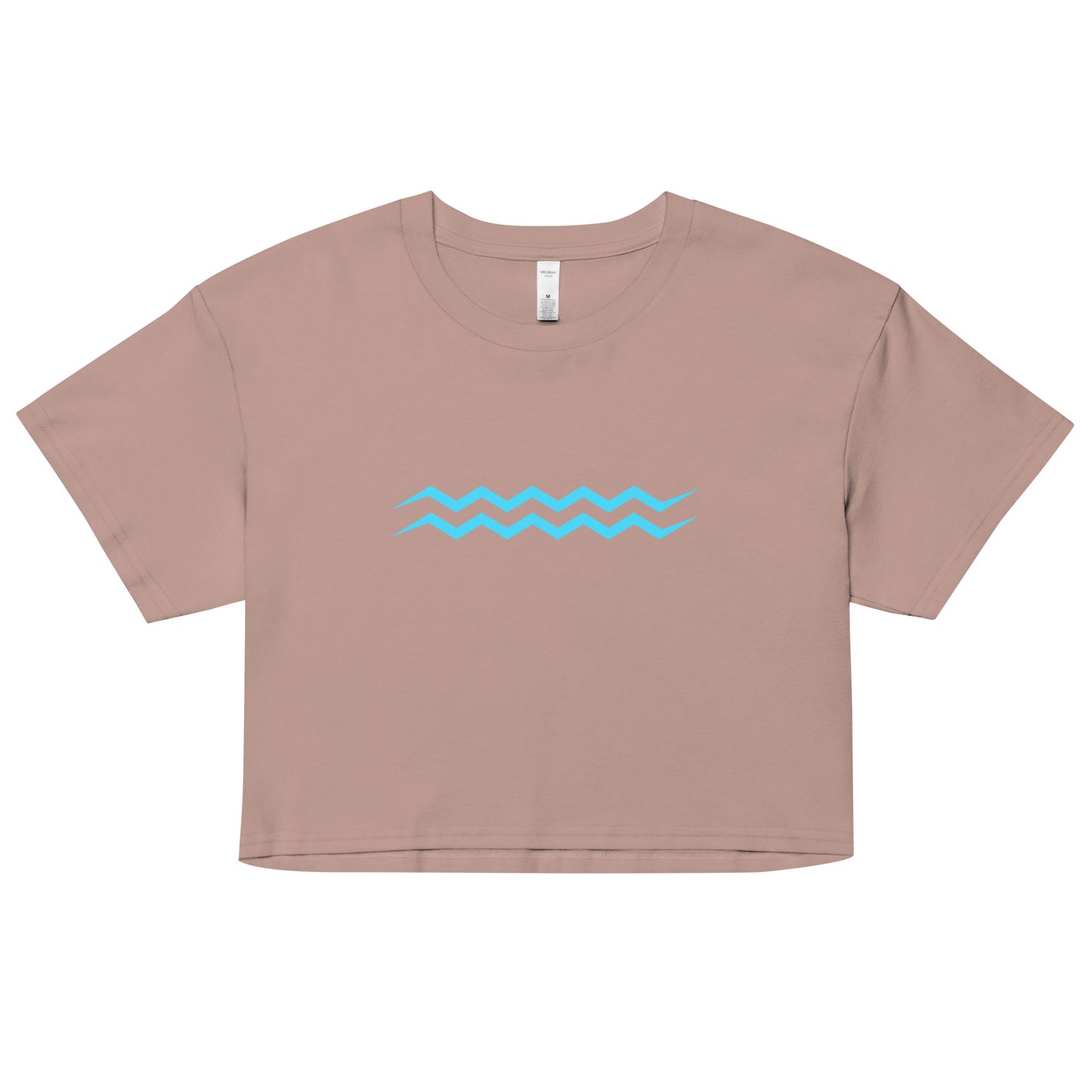 ANOYNTD Horizontal Series (BB) Women’s Crop Top