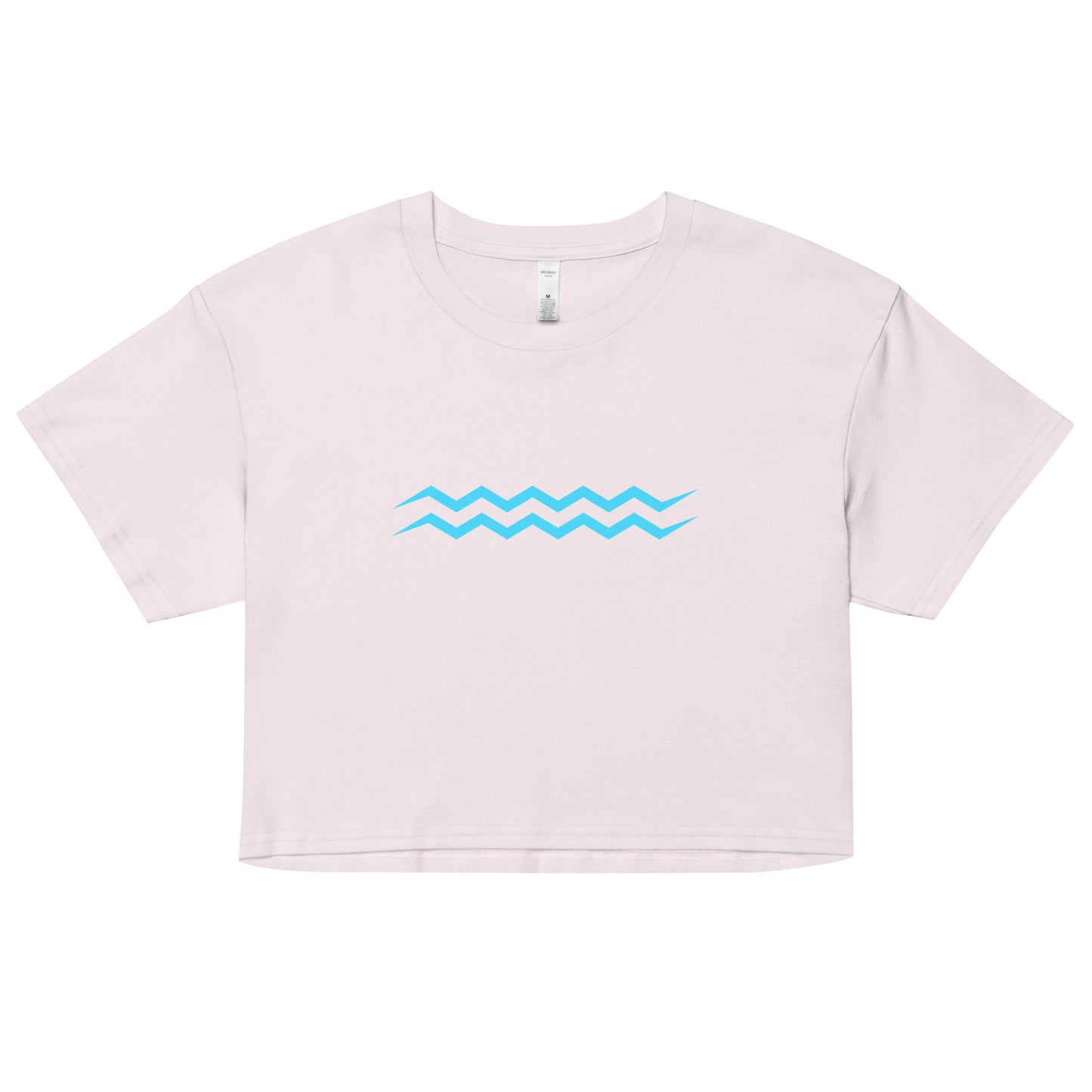ANOYNTD Horizontal Series (BB) Women’s Crop Top