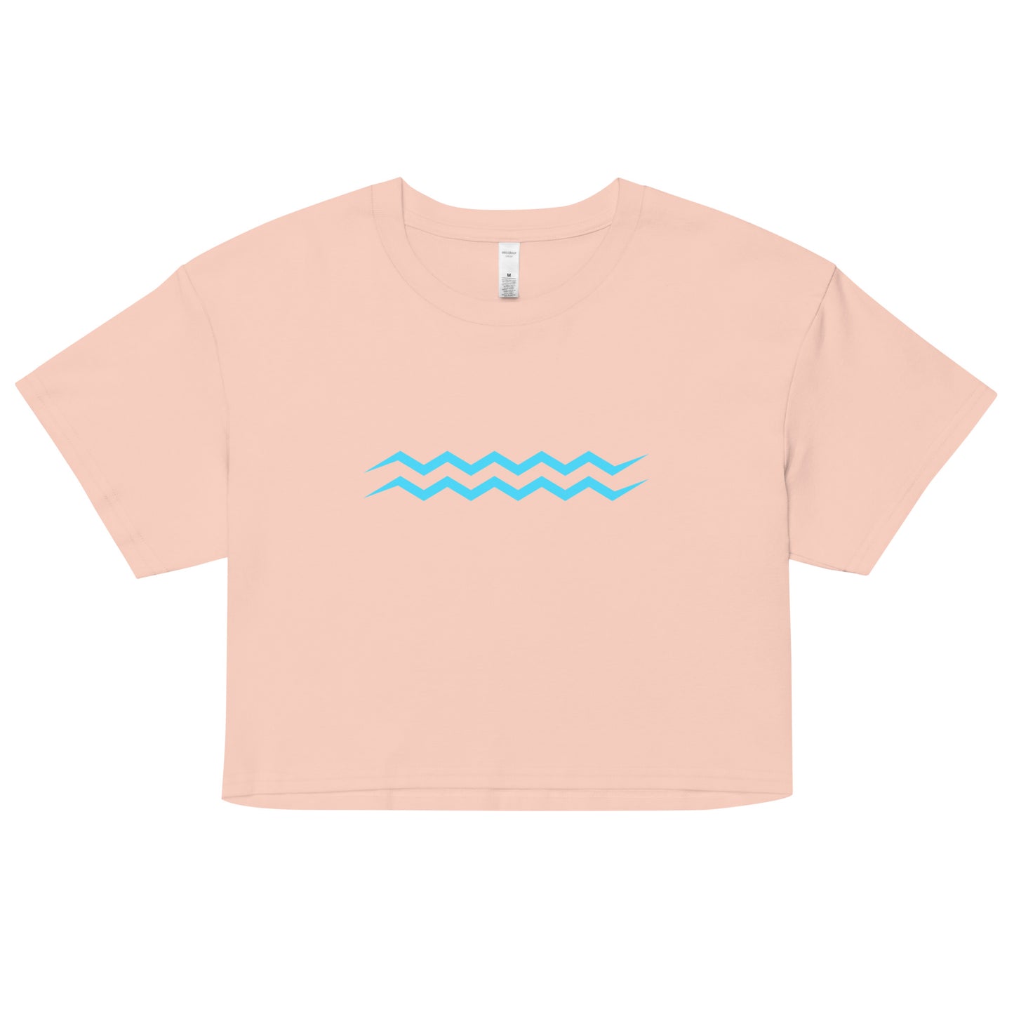 ANOYNTD Horizontal Series (BB) Women’s Crop Top
