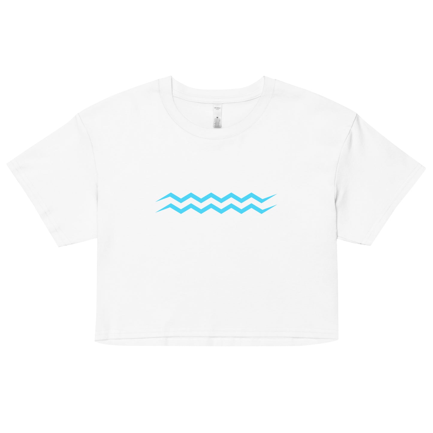 ANOYNTD Horizontal Series (BB) Women’s Crop Top